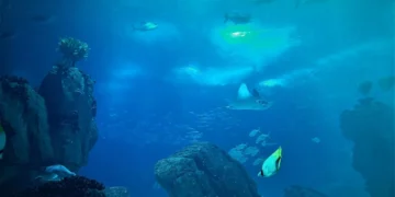 Desenvolvida boia que dessaliniza água do oceano apenas com a energia das ondas