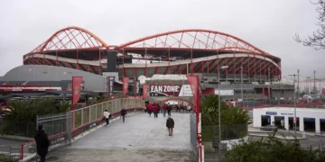 Martim Mayer avança com candidatura à presidência do Benfica