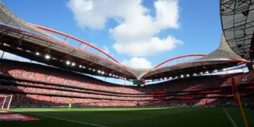 Dirigente do Benfica afasta polémica com Schjelderup: “Não pretendi…”