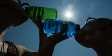 Com 40ºC à porta, DGS deixa alerta para cuidados extra. Fique a par