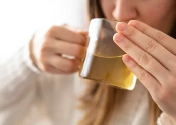 Alimentos que podem estimular novas células cerebrais após os 50 anos
