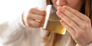 Alimentos que podem estimular novas células cerebrais após os 50 anos