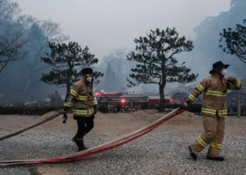 Mais de 30 concelhos de nove distritos em perigo máximo de incêndio