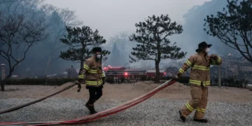 Mais de 30 concelhos de nove distritos em perigo máximo de incêndio