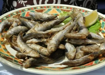 Benavente. 5 toneladas de sardinha, 5 mil litros de vinho e 10 mil pães grátis na Festa da Amizade