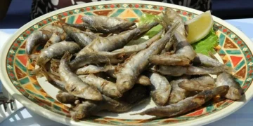 Benavente. 5 toneladas de sardinha, 5 mil litros de vinho e 10 mil pães grátis na Festa da Amizade