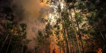 Fogos “preocupantes” em Ponte da Barca, Penamacor e Arouca: “Intensidade”