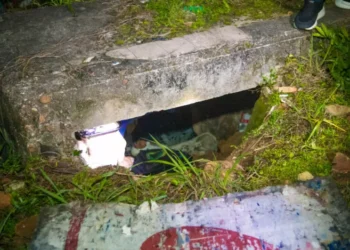 Estrutura improvisada: morador de rua é encontrado morando em área histórica de Blumenau