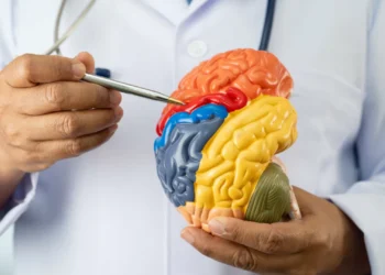Estes alimentos comuns podem ajudar a reduzir o risco de Alzheimer