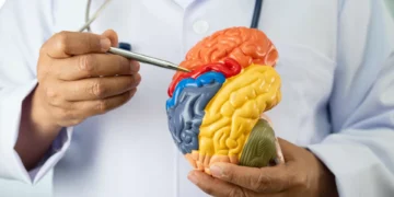 Estes alimentos comuns podem ajudar a reduzir o risco de Alzheimer