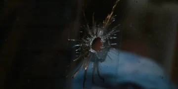 Pelo menos 11 pessoas mortas em ataque armado no Equador