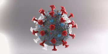 Covid-19. Os sintomas mais comuns durante o verão