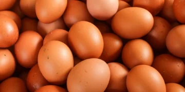 Governo Trump processa Califórnia devido ao aumento dos preços dos ovos