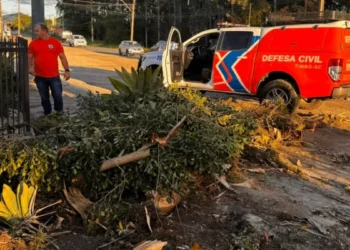 Com ventos de ciclone, Timbó registra só uma ocorrência de dano