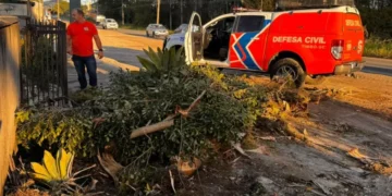 Com ventos de ciclone, Timbó registra só uma ocorrência de dano