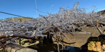 Temperaturas negativas e geada marcam início de semana na Serra Catarinense