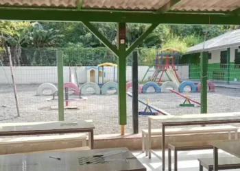 Novo caso em escola: homem em surto invade unidade em Blumenau