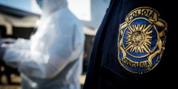 Cultivavam canábis em casa e planeavam vender no Boom Festival 2025