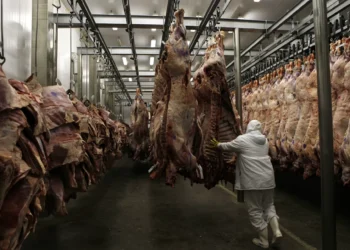Transação no Uruguai opõe Marfrig e Minerva em divulgações ao mercado
