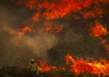 Quase 2.000 operacionais combatem chamas em Portugal continental
