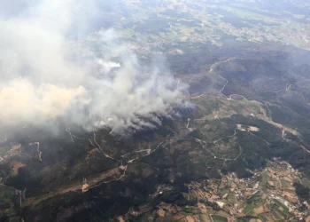 Incêndios. Alterações climáticas favorecem ignições mas não as provocam