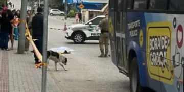 Em SC, mulher morre após ser atingida por micro-ônibus da prefeitura