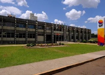 BRF (BRFS3) tem lucro líquido de R$ 735 milhões no 2º trimestre, queda anual de 33%
