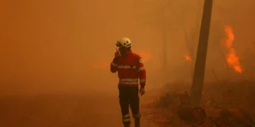 Mais de 170 combatiam pelas 23h45 fogos em Montalegre e Vila Real