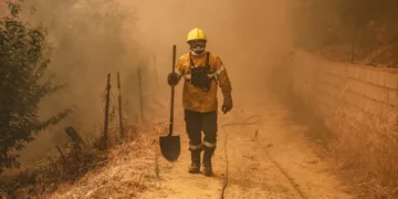 Fumo dos incêndios pode ter efeitos a longo prazo nos pulmões