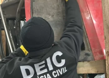 Fratres Doli: irmãos no centro de investigação sobre carros roubados em Blumenau