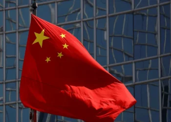 Surto de gripe aviária em Espanha? China proíbe importações avícolas