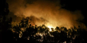 Incêndios. Cerca de oito mil clientes estavam sem luz pelas 22h00