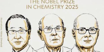 Nobel da Química entregue a três cientistas por desenvolvimento de estruturas orgânicas metálicas