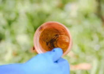 Santa Catarina intensifica ações contra o Aedes aegypti após aumento de casos de dengue