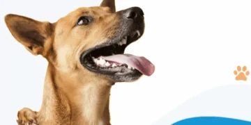 Relator do Cade diz que tribunal ainda não definiu posição sobre fusão Petz e Cobasi