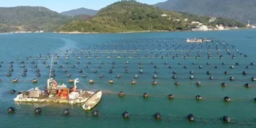 Santa Catarina bate recordes e se consolida como potência do agronegócio brasileiro