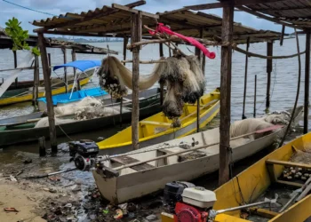 Início do defeso da piracema restringe pesca comercial no país