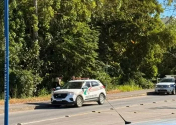 Popular chama os bombeiros após ver homem caído no mato em Timbó