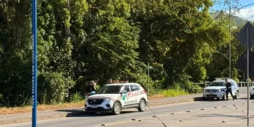 Popular chama os bombeiros após ver homem caído no mato em Timbó
