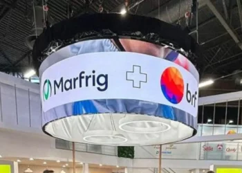 MBRF passa a ter 2º dia de forte queda após saltar 36% em 6 pregões: o que explica?