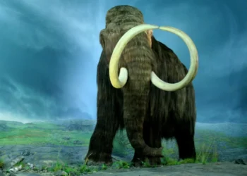 RNA mais antigo do mundo extraído de mamute-lanoso com 40 mil anos