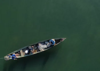 Pescadores profissionais têm até dia 31 para comprovar atividade