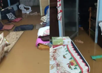 Idosa de 80 anos é retirada de casa pela Defesa Civil após residência ficar alagada