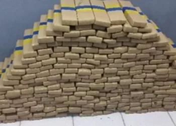FICCO apreende 252 quilos de maconha em veículo roubado durante operação em Blumenau