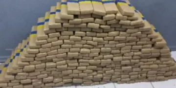 FICCO apreende 252 quilos de maconha em veículo roubado durante operação em Blumenau