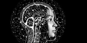 Técnica utilizada para estudar o universo permite “ouvir” estrutura do cérebro