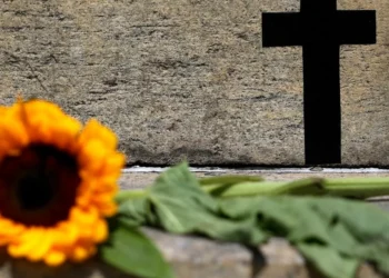 2025 já é o ano com maior número de feminicídios na capital paulista