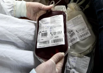 Alargamento da idade dos dadores de sangue pode ajudar nas quebras afirma Federação