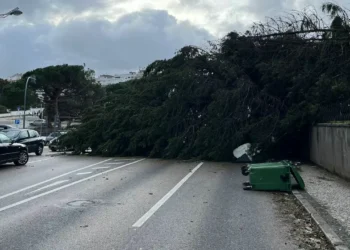Presidente da Câmara de Leiria descreve “cenário dantesco” e pede declaração do estado de calamidade