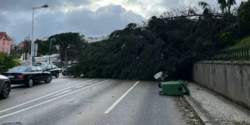 Presidente da Câmara de Leiria descreve “cenário dantesco” e pede declaração do estado de calamidade